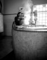 Brewing process